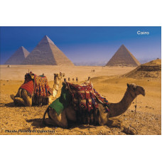 cp4503 - Carte Postala - Cairo
