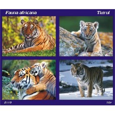 mec1160 - Fauna africana - Tigrul - bloc n