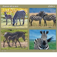 mec1344 - Fauna africana - Zebra - bloc n