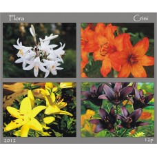 mec1348 - Flora - Crini - bloc n