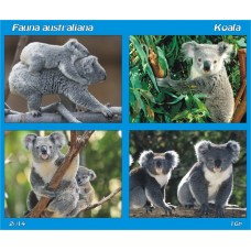mec1428 - Fauna australiana - Koala - bloc n