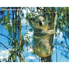 mec1429 - Fauna australiana - Koala - colita n