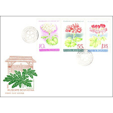 fdc678 - Muscate de gradina - a