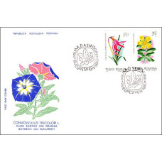 fdc1007 - Flori exotice din Gradina Botanica Bucuresti - c