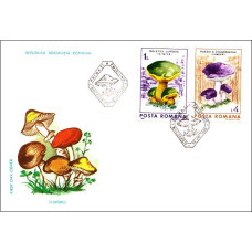 fdc1165 - Ciuperci comestibile - a