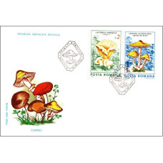 fdc1165 - Ciuperci comestibile - b
