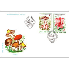 fdc1165 - Ciuperci comestibile - c