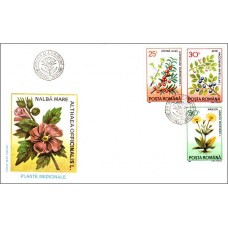 fdc1310 - Plante medicinale - b