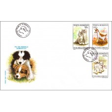 fdc1367 - Pui de animale domestice - a