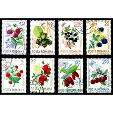 598 - Fructe de padure - serie s