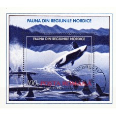 1301 - Fauna din regiunile nordice - colita s