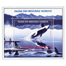 1301 - Fauna din regiunile nordice - colita