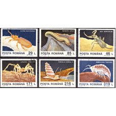1332 - Descoperiri din fauna cavernicola - Pestera Movile - serie s