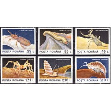 1332 - Descoperiri din fauna cavernicola - Pestera Movile - serie