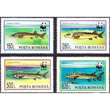 1359 - Fauna ocrotita - Sturioni - serie