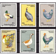 1386 - Pasari domestice - serie