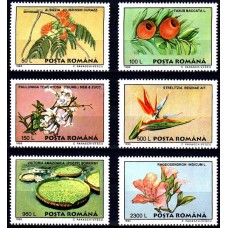 1393 - Flora din Gradina Botanica Bucuresti - serie