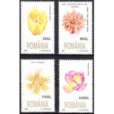 1466 - Flora - serie