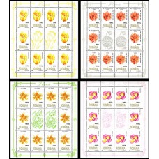 1466b - Flora - coli