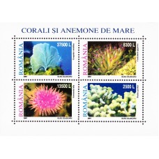 1570a - Corali si anemone de mare - bloc