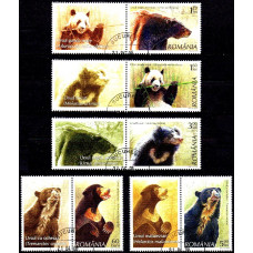 1799a - Ursi - serie vs