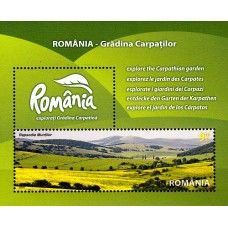 1874 - Romania Gradina Carpatilor - colita