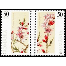 1906 - Flori de piersic - serie