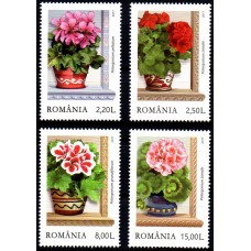 2169 - Zambetul ferestrelor, Muscatele - serie