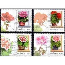 2169a - Zambetul ferestrelor, Muscatele - serie vs