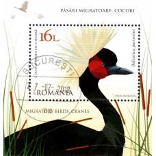 2177a - Pasari migratoare, cocori - colita s
