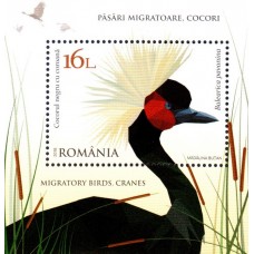 2177a - Pasari migratoare, cocori - colita