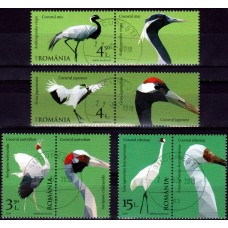 2177b - Pasari migratoare, cocori - serie vs