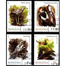 2211 - Maestrii camuflajului - serie s