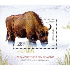 2237a - Fauna protejata din Romania - colita