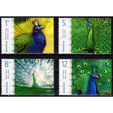 2240 - Pauni - serie