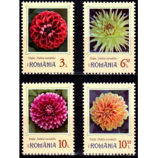 2390 - Flori de gradina - Dalii - serie