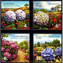 2522 - Hortensii - serie s 2522 - Hortensii - serie s