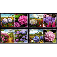 2522c - Hortensii - serie vs 2522c - Hortensii - serie vs