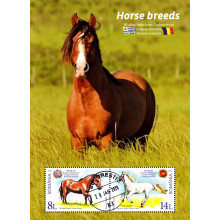 2545b - Rase de cai - Emisiune comuna Romania-Uruguay - bloc colita s 2545b - Rase de cai - Emisiune comuna Romania-Uruguay - bloc colita s