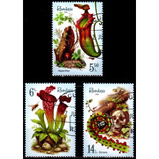 2548 - Plante carnivore - serie s
