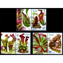 2548c - Plante carnivore - serie vs 2548c - Plante carnivore - serie vs