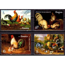 2550 - Cocosi - serie s