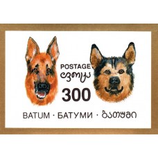 Batum - Caini - colita n