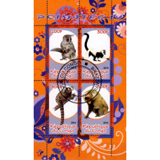 Congo 2010 - Primate 4 - bloc s