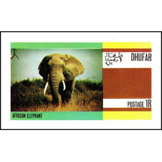 Dhufar - Elefantul african - colita n