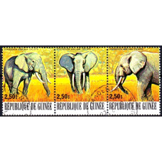 Guinea 1977 - Animale pe cale de disparitie - Elefanti - serie st