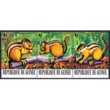 Guinea 1977 - Animale pe cale de disparitie - Veverite - serie st