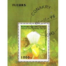 Guinea 1995 - Flori - colita s