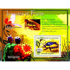 Guinea 2007 - Insecte si fructe - a - colita