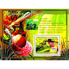 Guinea 2007 - Insecte si fructe - b - colita